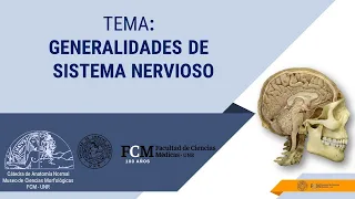 Sistema Nervioso  Introducción y Generalidades
