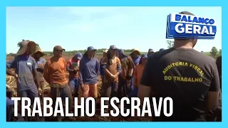 Exclusivo: trabalhadores vivem como escravos em cidades de Minas Gerais e São Paulo