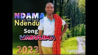 ndama ndendu song wakulima 0786228808 danger recods 2023