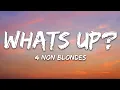 4 Non Blondes - What's Up (Lyrics)