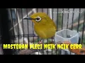 Download Lagu Tembakan pleci ngik ngik bikin merinding