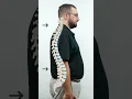 Lagu What Is The Natural Shape Of The Spine?