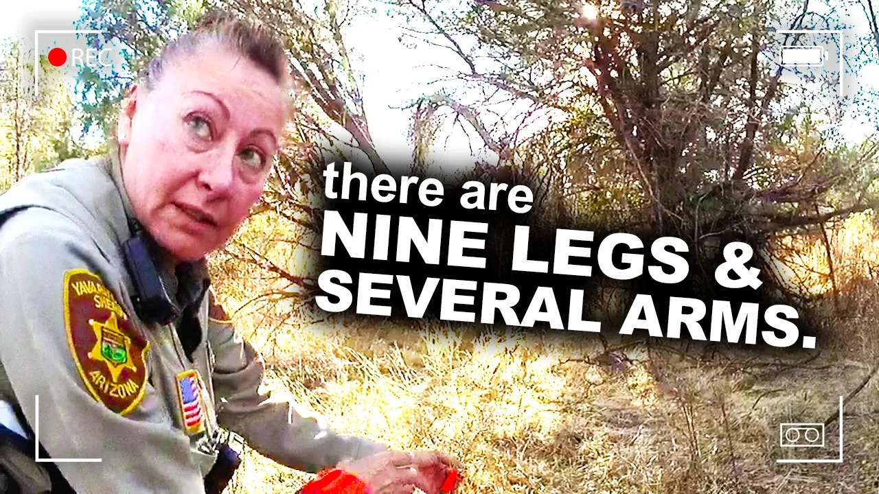 Outline Video Hunter Discovers 29 Human Body Parts in the Desert