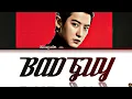 Download Lagu Chanyeol -Bad Guy- Cover Lyrics