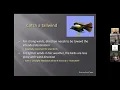 Weather Radar and Bird Migration