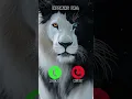 Download Lagu Best OPPO Mobile ringtone 🤙😎 #smartphone #ringtone #phonecall #ringtones #tech #video #audio
