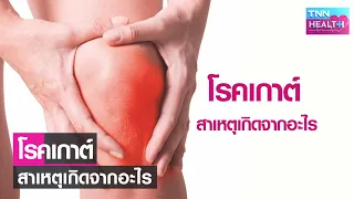 โรคเกาต์แบ่งเป็นกี่ประเภท และต่างกันอย่างไร