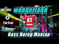 Download Lagu DJ WONDERLAND TERBARU 2021 BASS HOREGG MANTAP by konteng ft Ardi Tubos