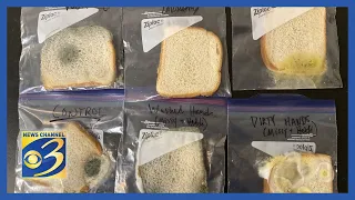 Download Viral trend: Moldy bread experience shows importance of hand washing MP3