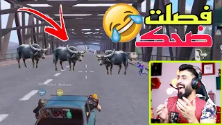 رد فعلي على اغرب واجمل لقطات ببجي ممكن تشوفها لقطة 12 الصدمة الكبرى متت ضحك جزء201 