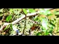 Download Lagu Suwilanji - Lesa wandi