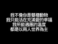 蔡健雅【雙棲動物】歌詞