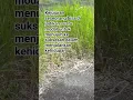 Download Lagu modal dari kejujuran#motivasi #shortvideo #fypyoutube #viral #beautiful #powerful