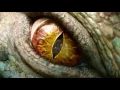 KNIFE PARTY - INTERNET FRIENDS (VIDEO EDIT)