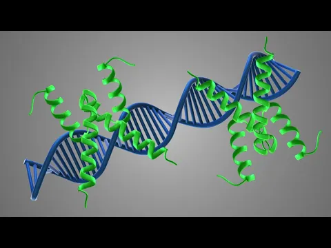 How does the small molecule AGX51 cause the degradation of ID proteins