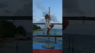 Lost footage of our dog Bucky!