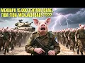 Download Lagu WAAROM ZIJN 15.000 ISRAËLISCHE SOLDATEN PLOTSELING B4BI GEWORDEN?
