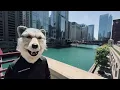 Download Lagu Jean ken johnny in chicago