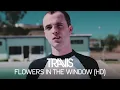 Lagu Travis - Flowers In The Window (Official Music Video)