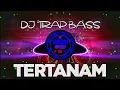 Download Lagu 🔴Dj Tertanam - Tony Q Rastafara [ Trap Hard Bass ]