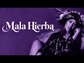 Mala Hierba - Alejandra Guzmán
