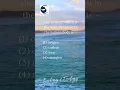 Download Lagu The Abundance of Life: Unveiling Oxygen - The Most Abundant Element in the Human Body