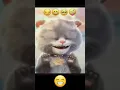Download Lagu Kucing Viral tik tok