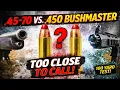 45-70 vs 450 Bushmaster WAY Closer Than Expected 100 Yard Test