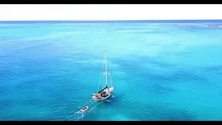 When A Bit of Serendipity Turns It All Into Perfection (MJ Sailing – EP 58)