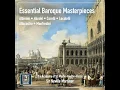 Concerto in D Major, Op. 1 No. 9: II. Largo
