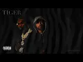 Download Lagu Eminem - TIGER (feat. Pop Smoke) (2022) [Collab with Fitzyy]