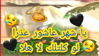 قصائد 2020 عذرا يا شهر عاشور لو كلتلك لا هلا محرم 1442 هجري 