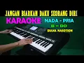 Download Lagu JANGAN BIARKAN - Diana Nasution | KARAOKE Nada Pria, HD