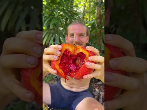 This Fruit Is Pure Tropical Beauty