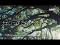 Download Lagu HONKAI IMPACT 3ʳᵈ: Reverie [feat.KokoNata] - [Thai subtitles]