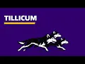 Tillicum University of Washingtons GPU Accelerated Research Computing Platform