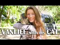 Download Lagu VANLIFE with my CAT | A Day In The Life VLOG | Answering Your Questions