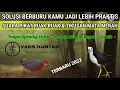 Download Lagu Suara Pikat Ruak-Ruak \u0026 Tikusan Mata Merah || BURUNG SAWAH TERBARU 2022