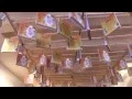 Download Lagu Dit Vind Ik Bijzonder KIDS