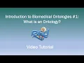 Introduction to Biomedical Ontologies What is an Ontology