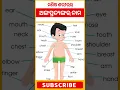 Human Body Parts Name