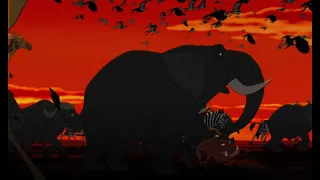 The Lion King 1 Circle Of Life 1 2 