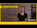 Macromolecules