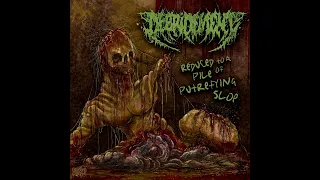 Download Debridement - Reduced To A Pile Of Putrefying Slop (Full EP) MP3