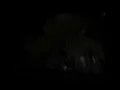 BRAGOLIN - Into Those Woods (Slowed and Reverb)