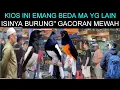 Download Lagu 🌟GREBEK KIOS KHUSUS BURUNG\