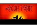 Download Lagu R3hab - Hakuna Matata (Hardwell Edit)