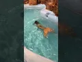 Download Lagu Real life mako mermaid swimming under a magical waterfall #shorts #h2ojustaddwater