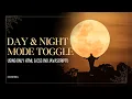 Day Night Mode Toggle Using Only HTML CSS No JavaScript