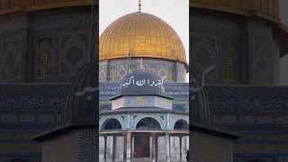 أملا الأرض بتكبير يهز الغاصبين 